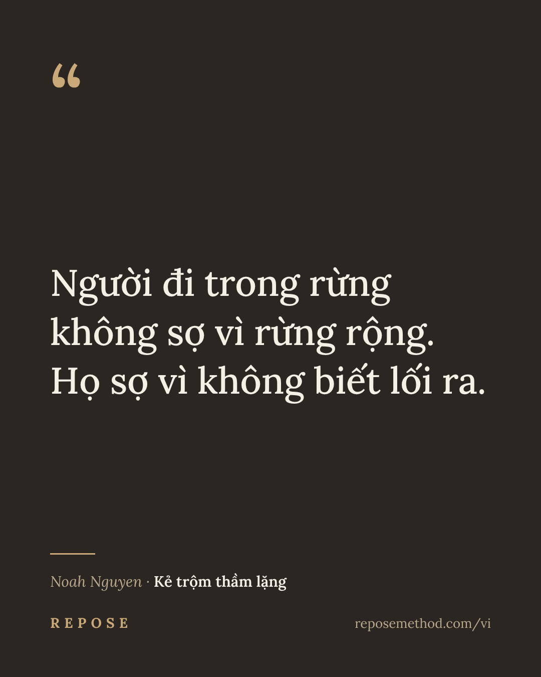 Ảnh trích dẫn 10 / 20